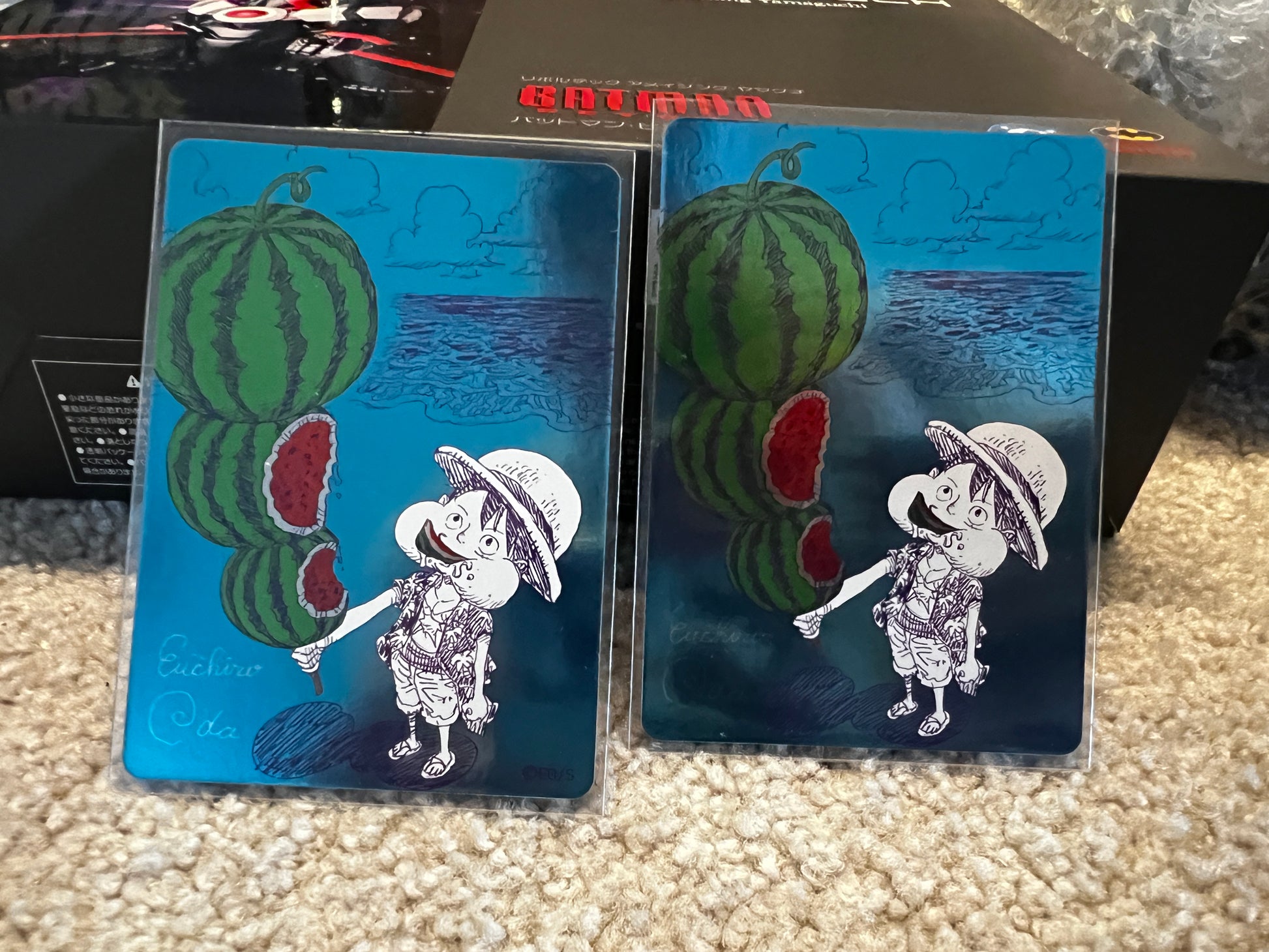 One Piece TCG - Natsucomi Luffy