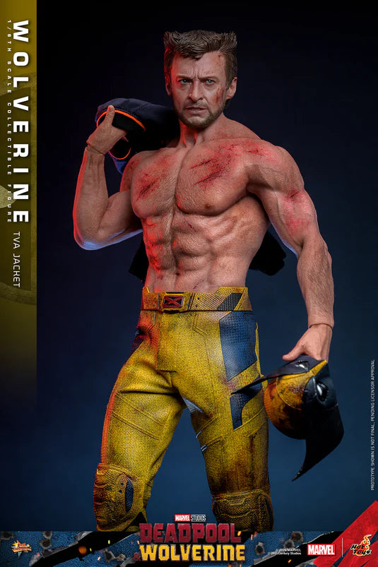 Hot Toys TVA Shirtless Wolverine (Deadpool and Wolverine)